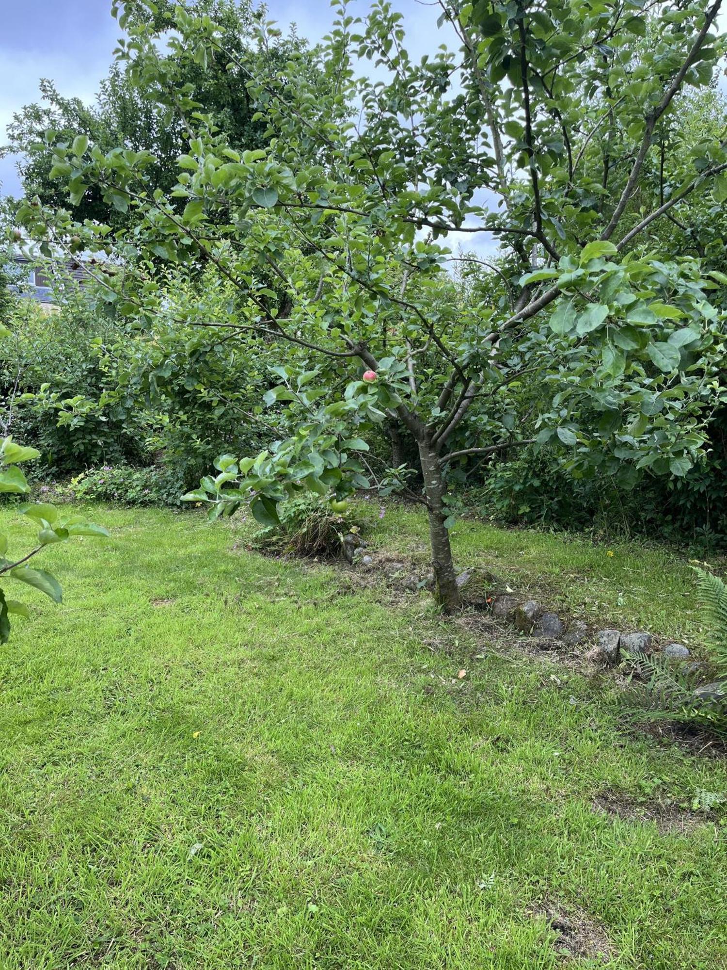 Apple Cottage Newton Stewart Eksteriør bilde